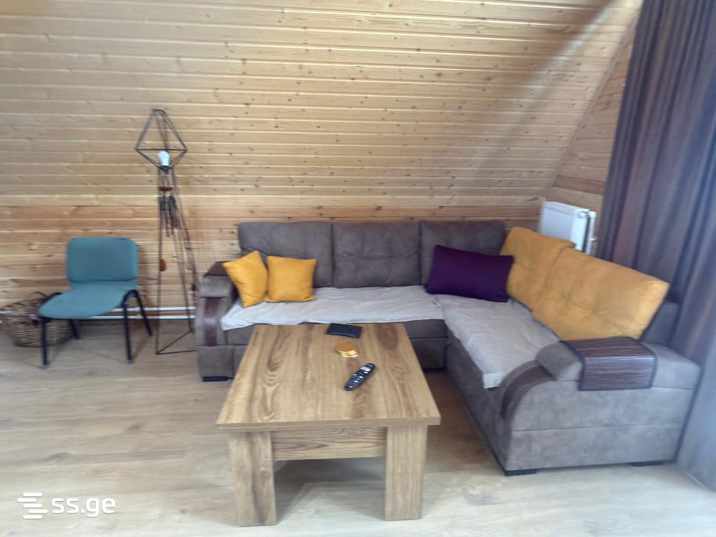 3 Room Summer Cottage Daily Rent. Mukhattskaro view 10