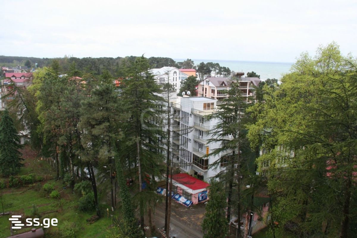 3 Room Flat For Sale view 5