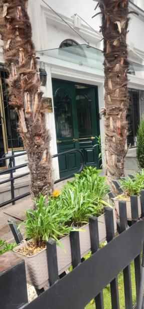 https://static.ss.ge/20260812/0_01a38762-4d07-4c65-9711-0c00c721de86_Thumb.jpg