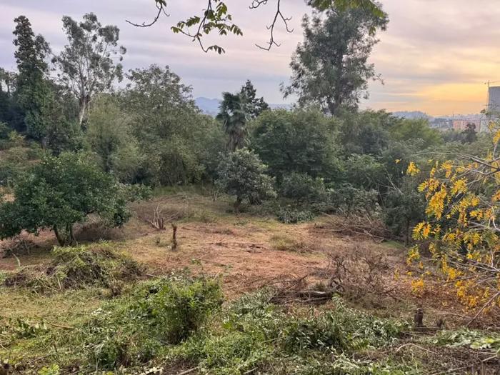 https://static.ss.ge/20260812/0_c63280ae-074b-49c7-9f2a-cd055f2ef266_Thumb.jpg