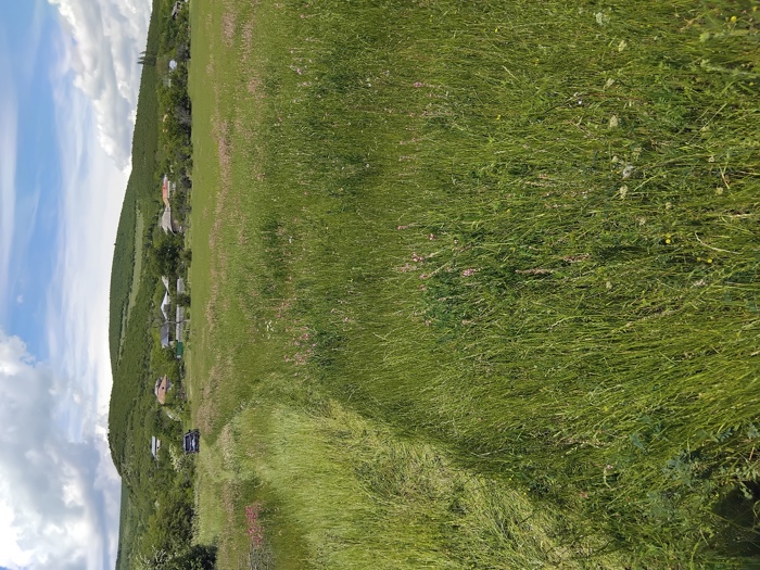 https://static.ss.ge/20260812/12_5ddb1d52-0770-4451-bd08-afed86735759_Thumb.jpg