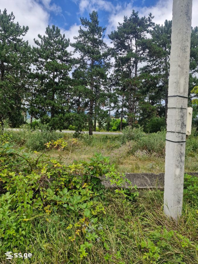 Land For Sale. Khashuri view 6