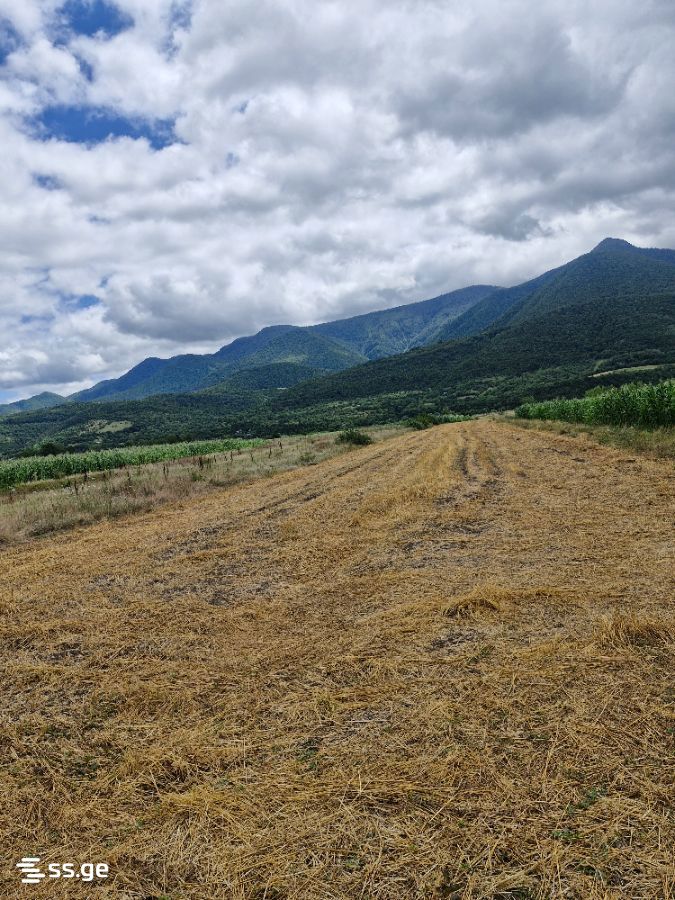 Land For Sale. Khashuri view 4