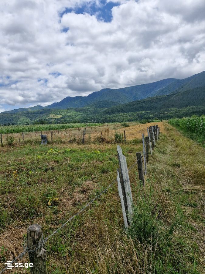 Land For Sale. Khashuri view 17