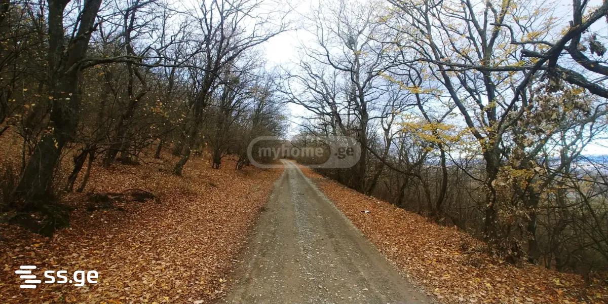 Summer Cottage For Sale. Tserovani view 10