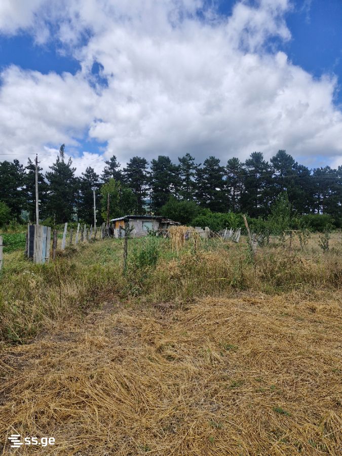 Land For Sale. Khashuri view 10