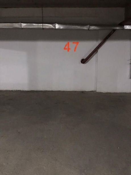 https://static.ss.ge/20260813/0_da30afc8-e8d2-4586-a3f8-c98184e4ac54_Thumb.jpg
