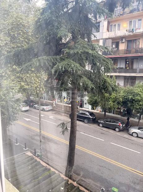 https://static.ss.ge/20260813/11_553bf185-0e29-4ec4-ab05-17e04adc6cd9_Thumb.jpg