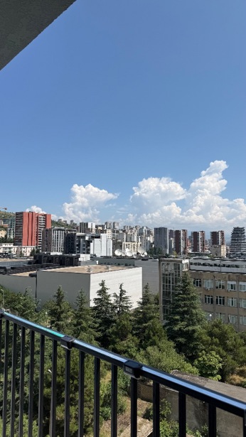 https://static.ss.ge/20260813/17_5503d976-fbbe-43bf-ac0b-c5dc2477d953_Thumb.jpg