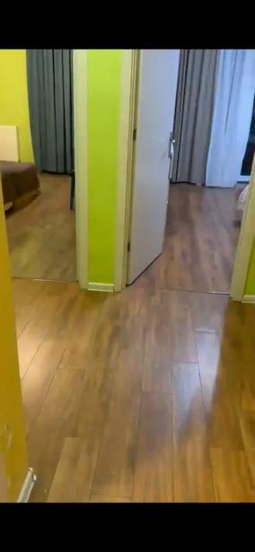 https://static.ss.ge/20260813/17_9bd6b892-5202-4e99-b0b1-e7c5fd0a4fd3_Thumb.jpg