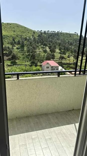 https://static.ss.ge/20260813/17_baf56949-99b7-4233-a9d6-1d4c17c9ab81_Thumb.jpg