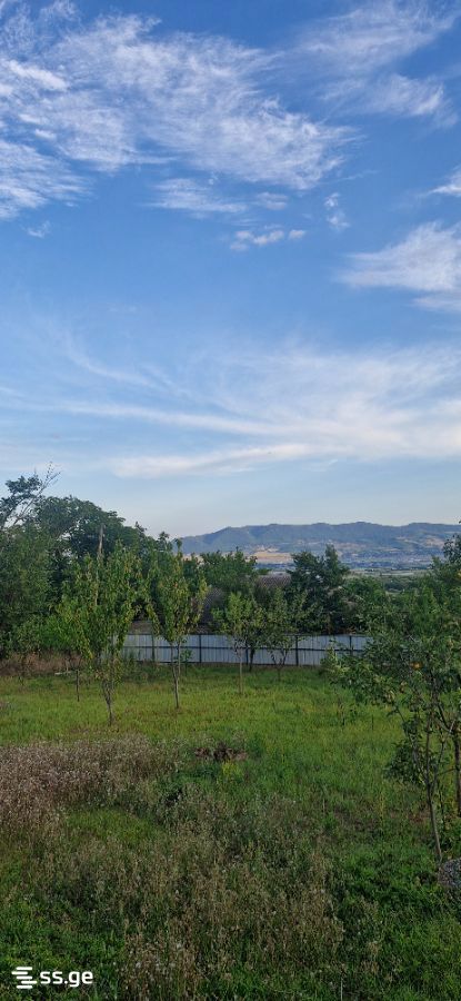 Private House For Sale. Tsilkani view 6