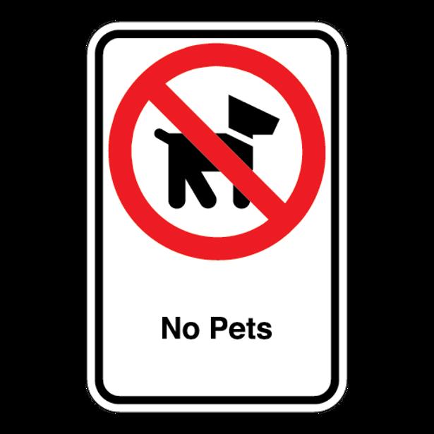 https://static.ss.ge/20260813/3_b04123a4-4d92-4d7b-8751-6f44bc2d39a3_Thumb.jpg