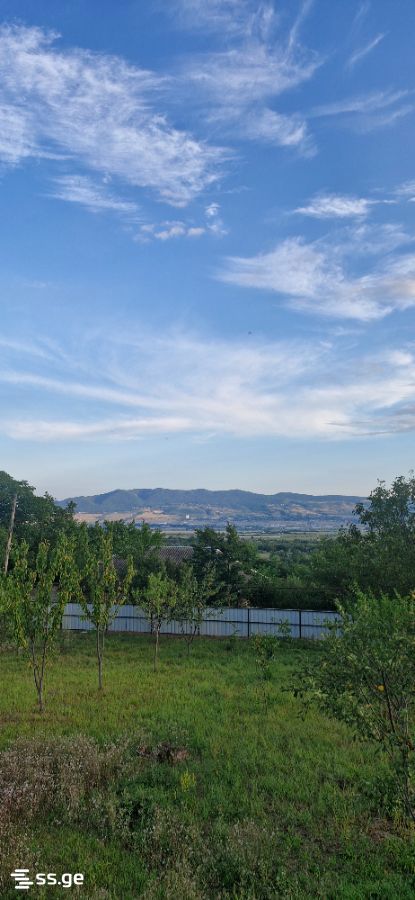 Private House For Sale. Tsilkani view 7