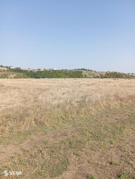 https://static.ss.ge/20260813/7_45afb35c-fd7e-4dae-9fa2-f20afbe955bd_Thumb.jpg