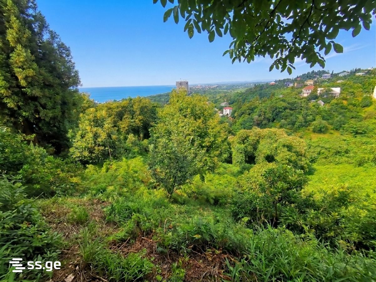 Продажа Земля в цихисдзири view 2