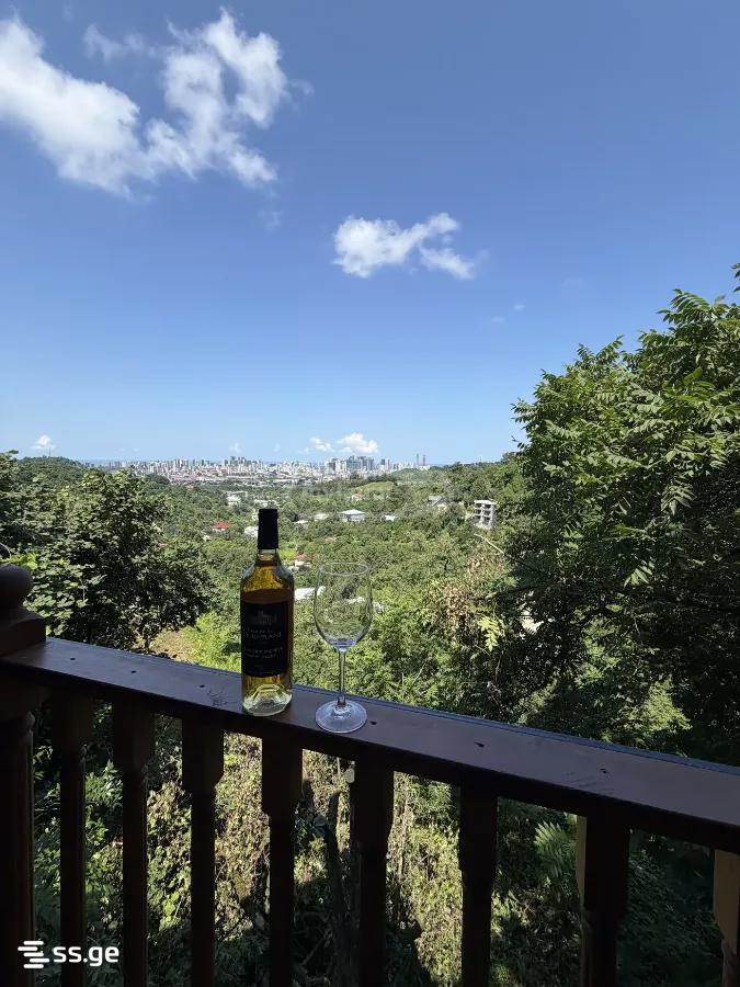 3 Room Summer Cottage Daily Rent. Batumi view 7