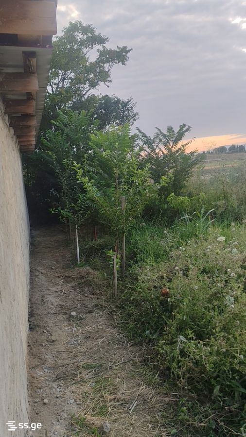2 Room Summer Cottage For Sale view 6