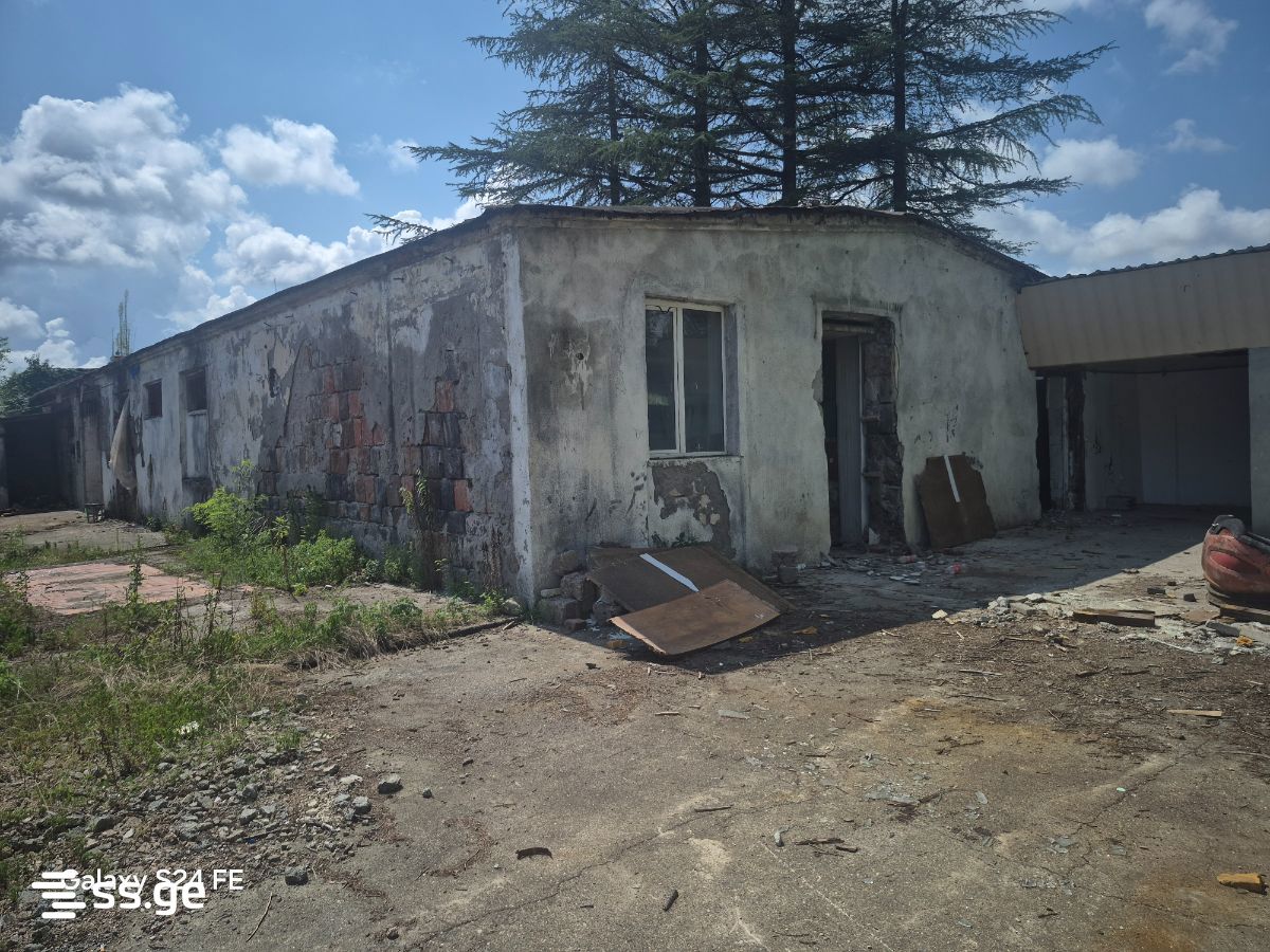 Store-Industrial Property For Sale. Zugdidi view 2