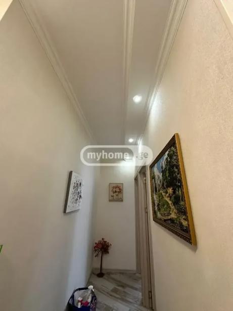 https://static.ss.ge/20260814/14_41ff51d0-6b42-45b4-a955-9b8ef33f82af_Thumb.jpg