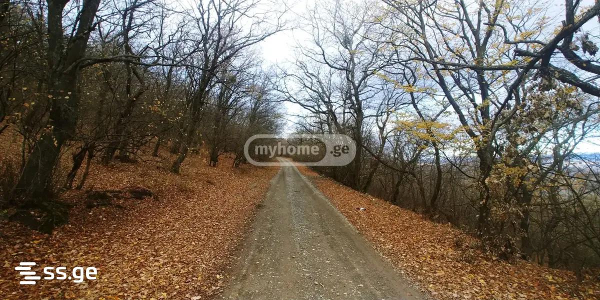 3 Room Summer Cottage For Sale view 29