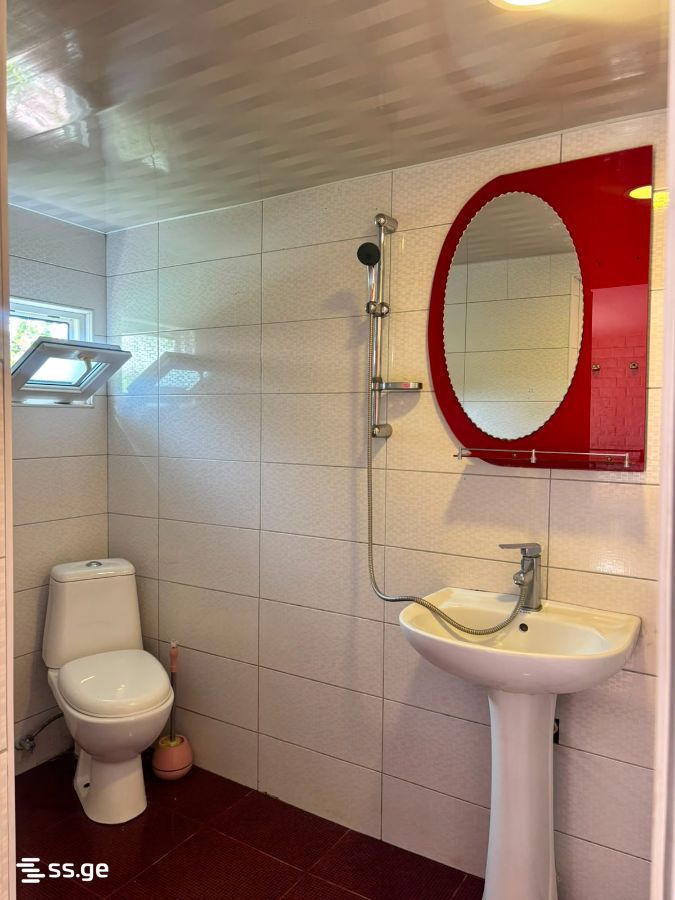 1 Room Private House For Rent. Borjomi view 13
