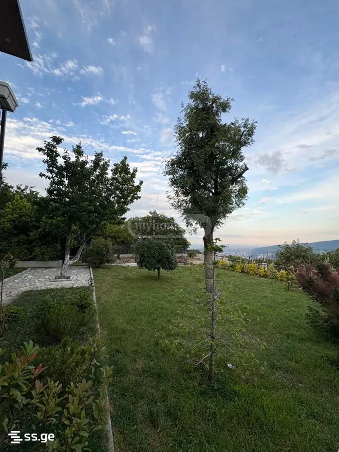 7 Room Private House For Rent. Napetvrebi view 3