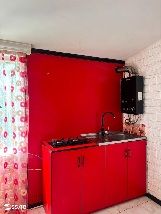 1 Room Private House For Rent. Borjomi view 15