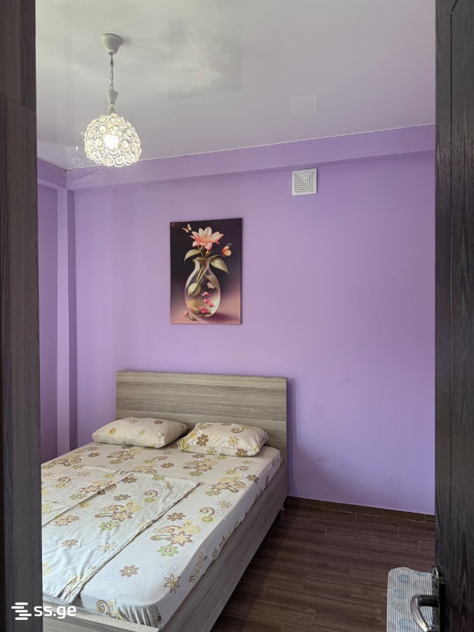 10 Room Summer Cottage For Rent. Kvariati view 14