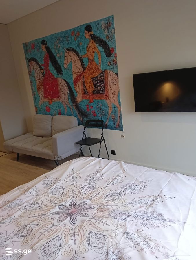 1 Room Hotel For Sale view 3