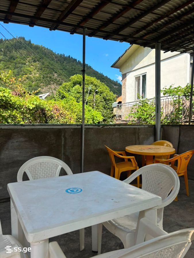 1 Room Private House For Rent. Borjomi view 12