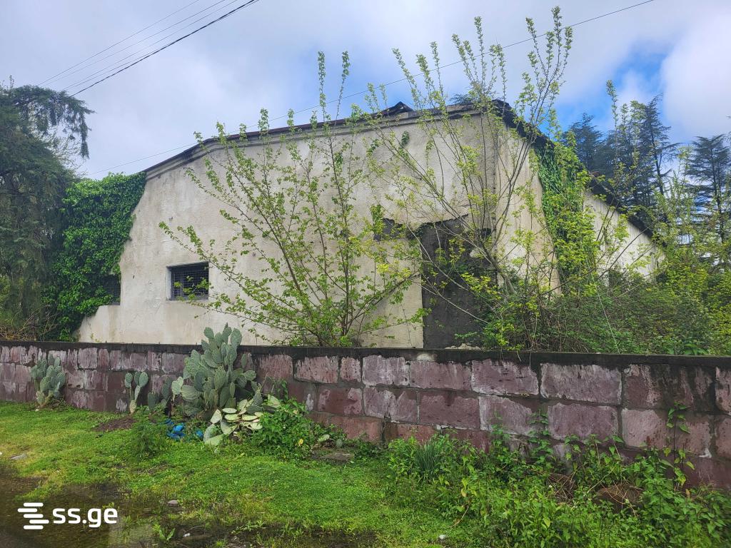Store-Industrial Property For Sale. Zugdidi view 9