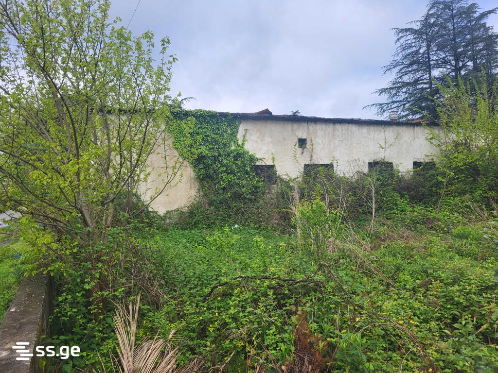 Store-Industrial Property For Sale. Zugdidi view 8