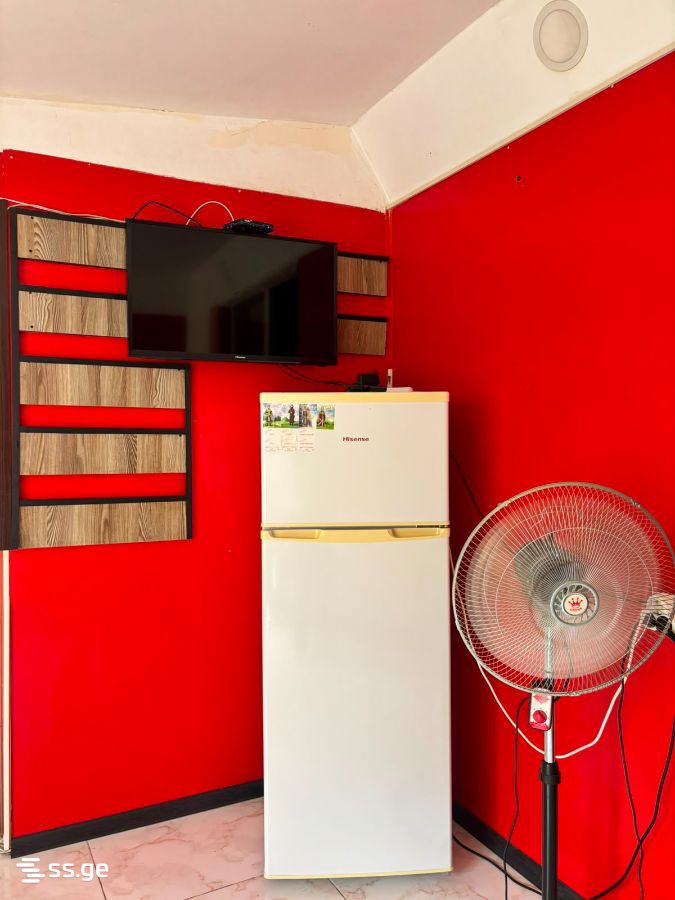 1 Room Private House For Rent. Borjomi view 14