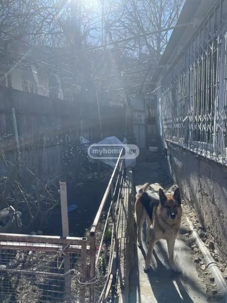 https://static.ss.ge/20260814/6_86a0ff87-bc90-4ee7-9440-a477215e4312_Thumb.jpg