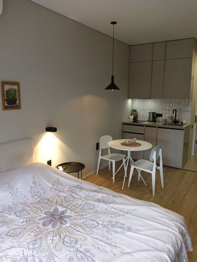 1 Room Hotel For Sale view 4