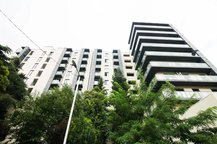 https://static.ss.ge/20260815/0_fd59f065-2a07-4940-8504-2149e2a3c89b_Thumb.jpg