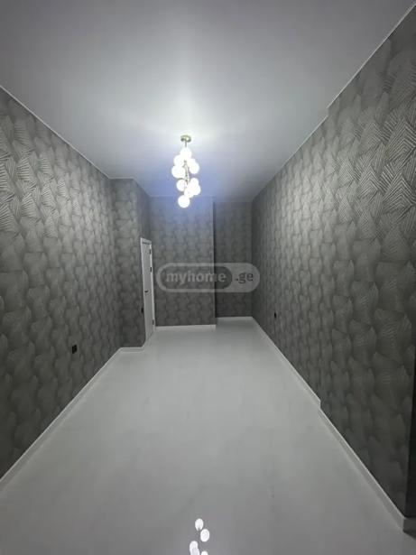 https://static.ss.ge/20260815/11_cbdb92fd-68d8-4bb3-a19c-b5a505e89966_Thumb.jpg