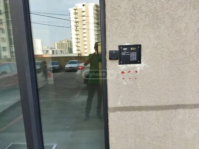 https://static.ss.ge/20260815/19_468c2cbd-7332-449d-84f8-1c8a07d77c0b_Thumb.jpg