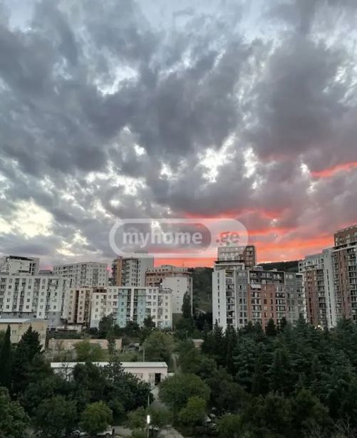 https://static.ss.ge/20260815/5_7bd0ff6a-37ef-4154-afb2-d5b885199b79_Thumb.jpg