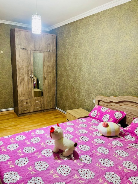 https://static.ss.ge/20260815/7_c2e63d7f-3f1f-4792-8236-dc8ffbf57ac6_Thumb.jpg