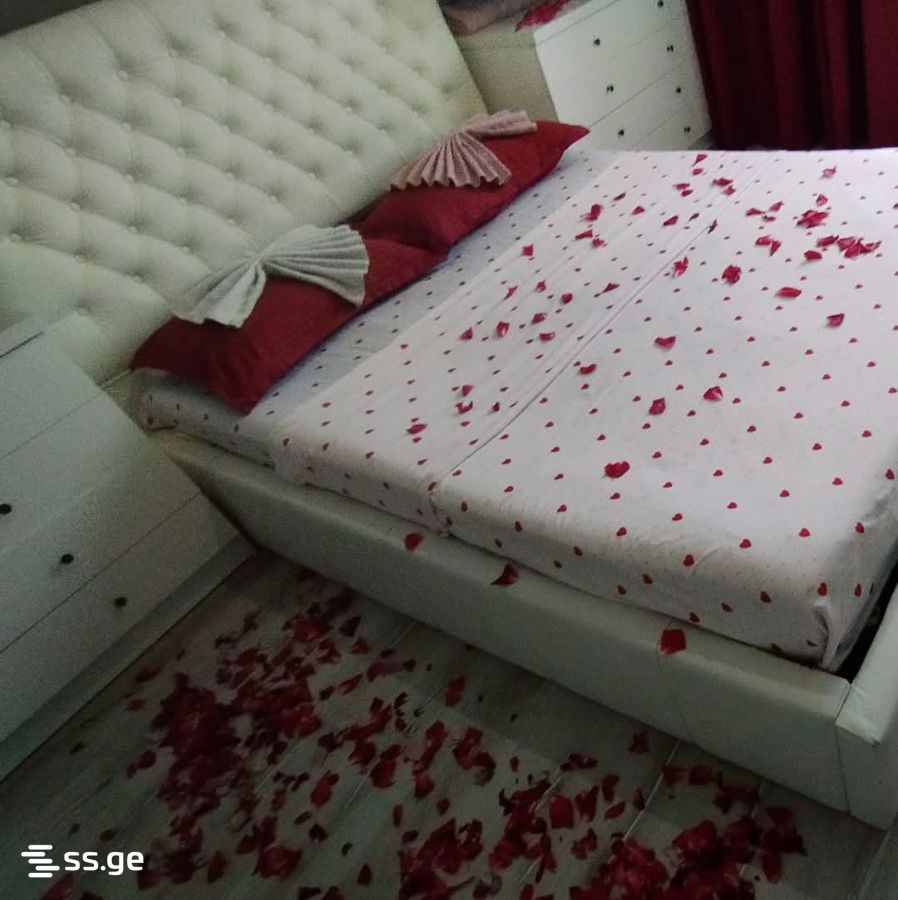 1 Room Flat Daily Rent. Rustavi view 1