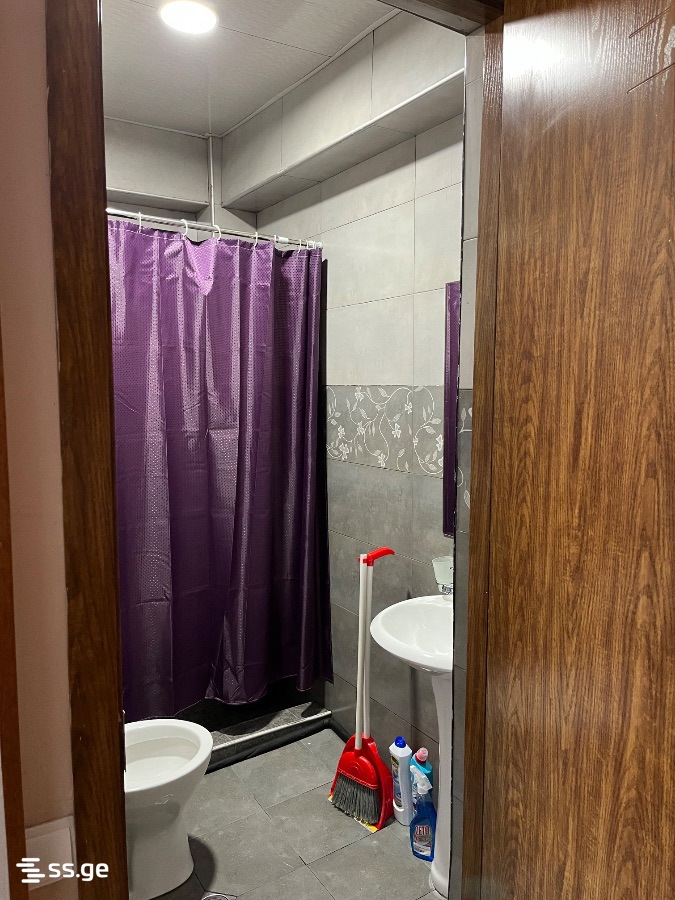 2 Room Flat For Rent. Bakuriani view 11