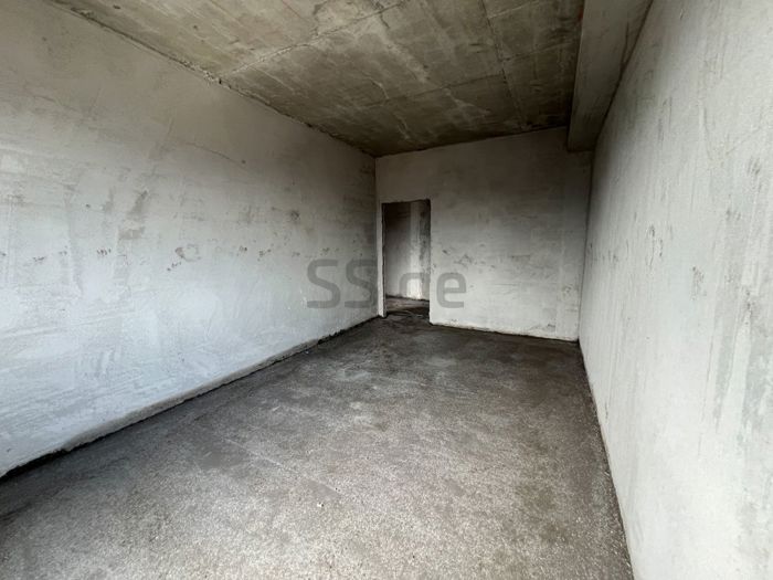 https://static.ss.ge/20260816/10_0b7d7080-465d-4a29-9c97-8c7f66b95293_Thumb.jpg