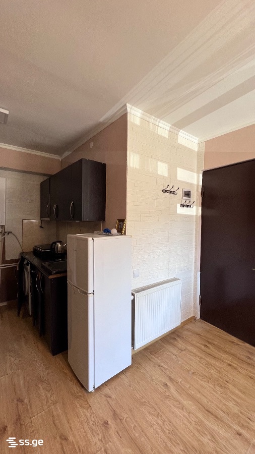 2 Room Flat For Rent. Bakuriani view 9
