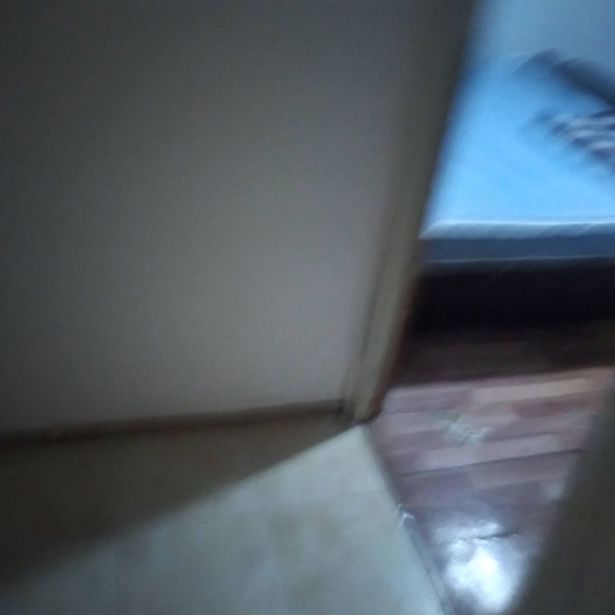https://static.ss.ge/20260816/15_4b12a653-35e0-4530-9450-bce569b70383_Thumb.jpg