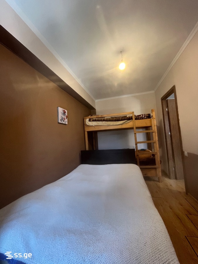 2 Room Flat For Rent. Bakuriani view 10