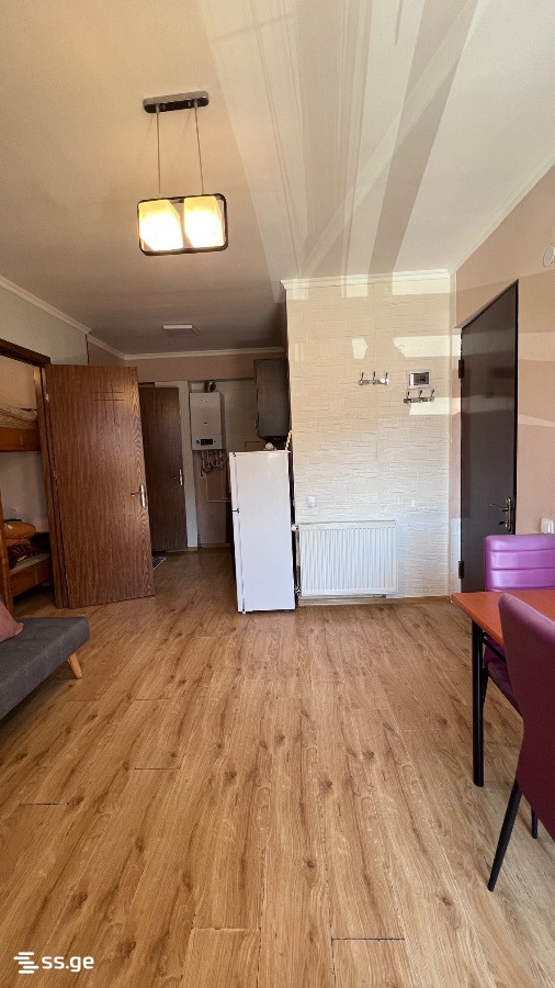 2 Room Flat For Rent. Bakuriani view 8