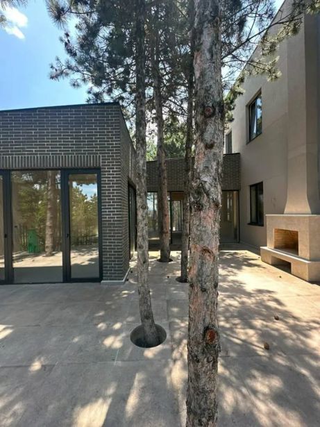https://static.ss.ge/20260816/19_3fbba300-38fe-4570-84f2-4ba5fb38a52c_Thumb.jpg
