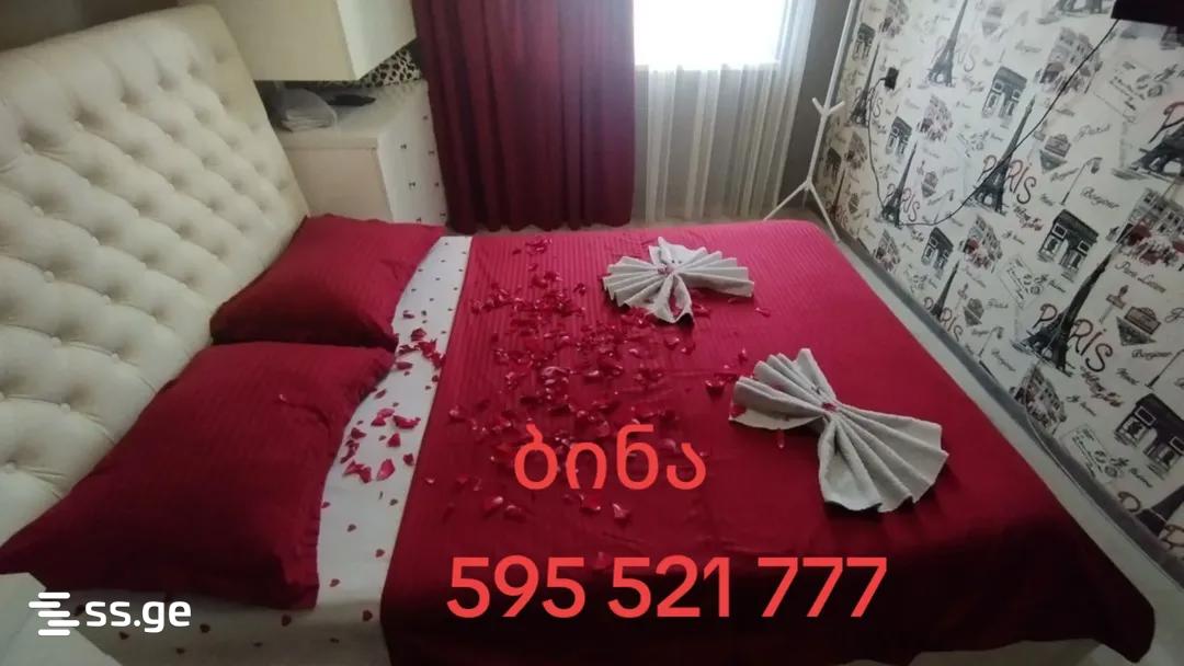 1 Room Flat Daily Rent. Rustavi view 8